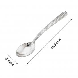 Big Silver Spoon
